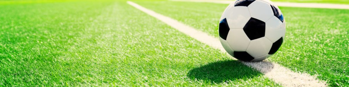 Artificial Turf Supplier & Trader in Dubai, UAE